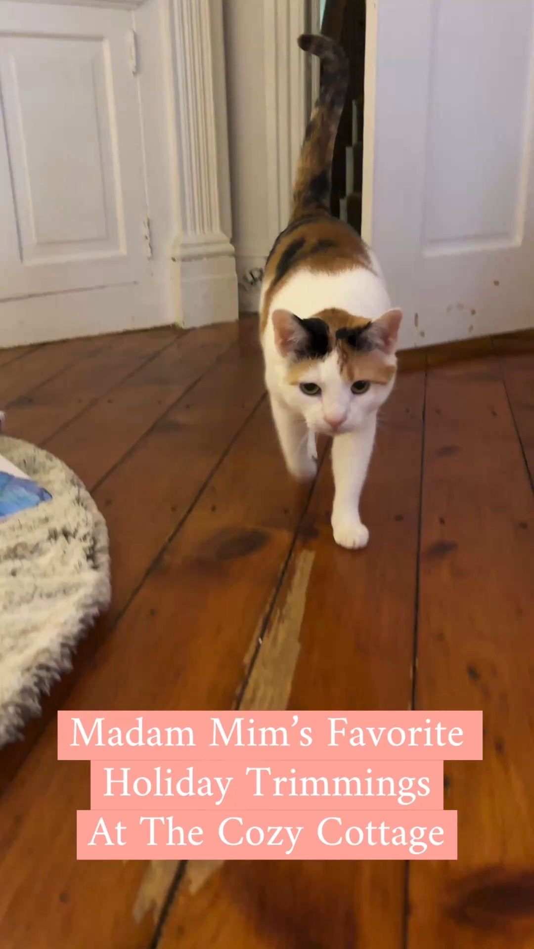 Madam Mim would like to show you her favorite holiday trimmings at the Cozy Cottage! You can tell how exhausting the job of Devor Supervisor is for her at the end 🤣

(All items linked except for the Stocking..find at French Knot!)

#LTKSeasonal #LTKHoliday