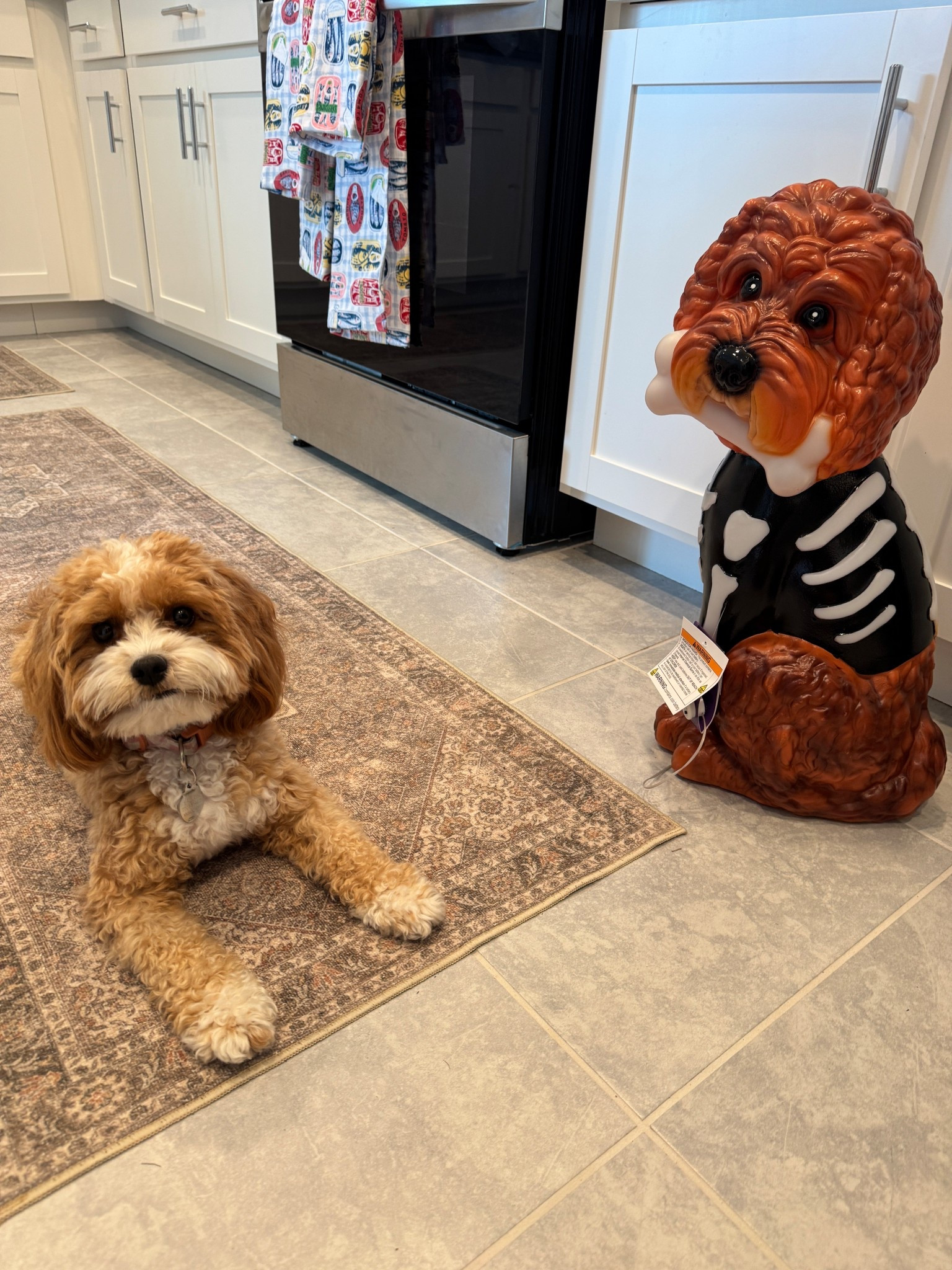 This Lowe’s Halloween doodle blow mold is finally online! 

#LTKHome #LTKSeasonal #LTKPets