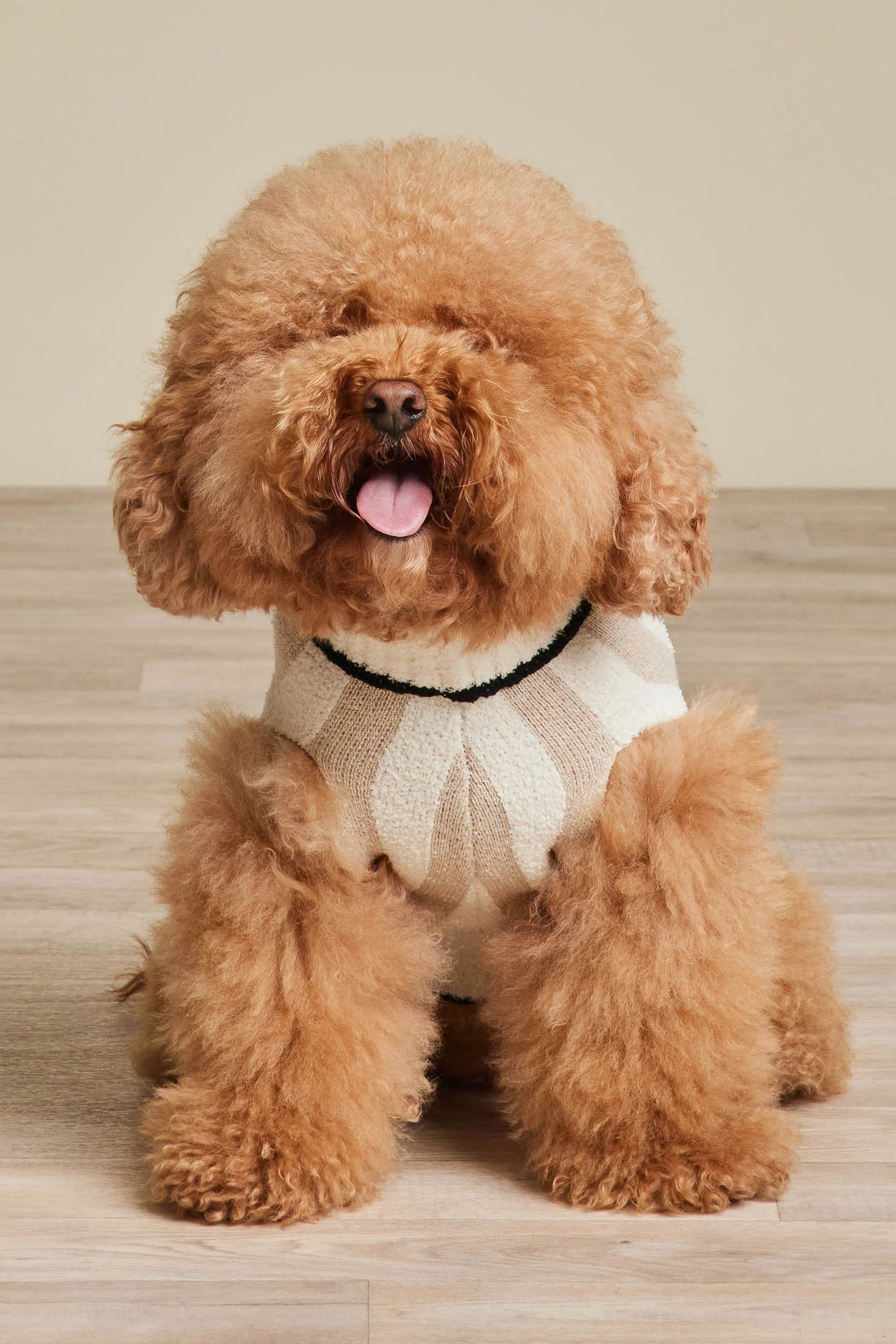 CozyChic® Cotton Classic Stripe Pet Sweater | Barefoot Dreams