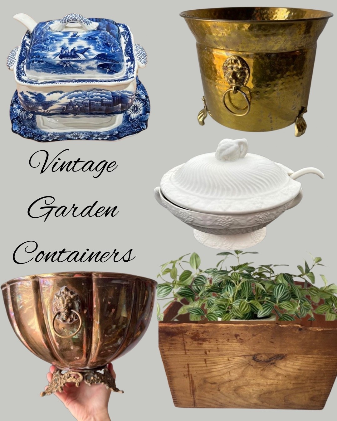 Vintage Garden Containers Indoor Gardening Blue and White Soup Tureen Brass Vessel

#LTKSeasonal #LTKHome