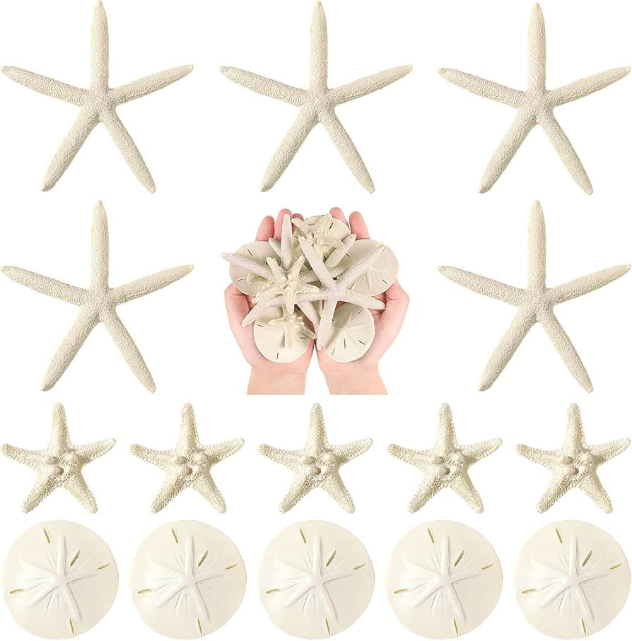 15 Pieces Resin Starfish and Sand Dollars 2.0 Inch Starfish 4.7 Inch Starfish 2.3 Inch Sand Dolla... | Amazon (US)