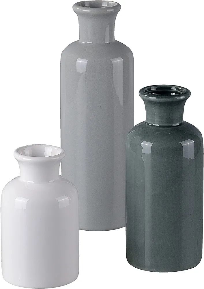 Flower Vintage White/Blue/Gray Vase for Decor Set of 3, Ceramic Rustic Vase for Decor, Modern Far... | Amazon (US)