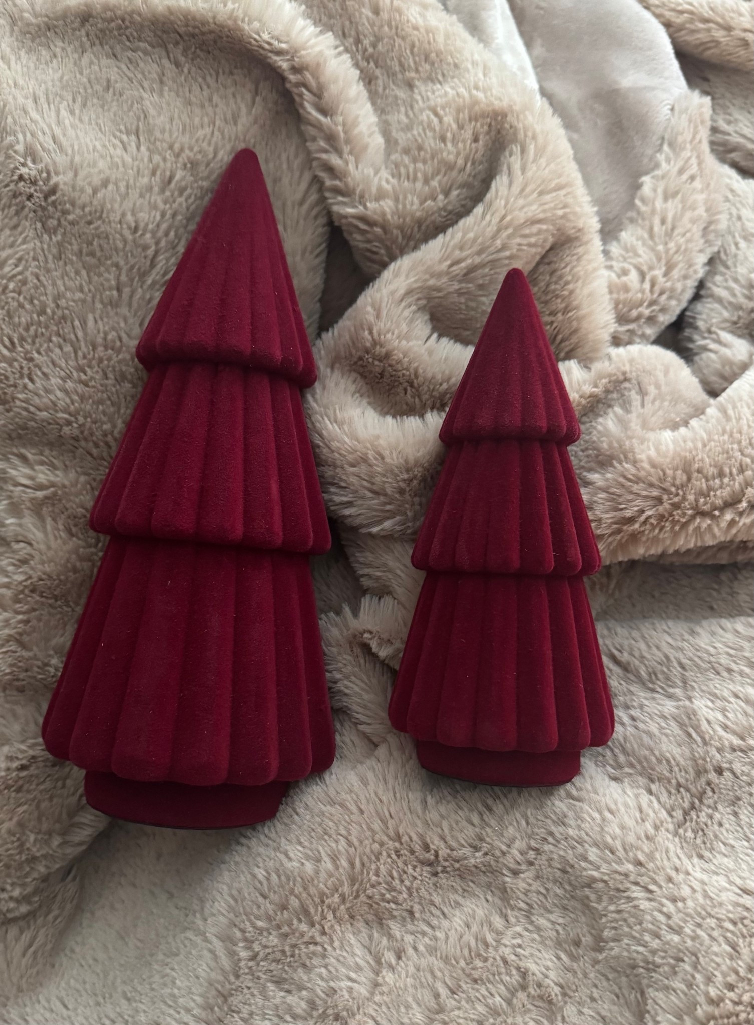 This set is on sale right now! It’s under 4 dollars!! 🙌🏻😳

#LTKSeasonal #LTKHoliday #LTKSaleAlert