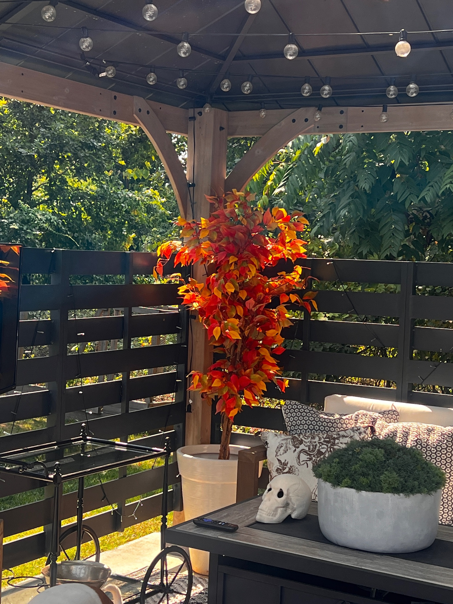 @nearlynatural faux Fall
Trees are stunning! This 5’ Fall focus is so pretty and I’ve had it for 3 years now! Code ACORN for 30% off 

#LTKFallSale #LTKHome #LTKSeasonal