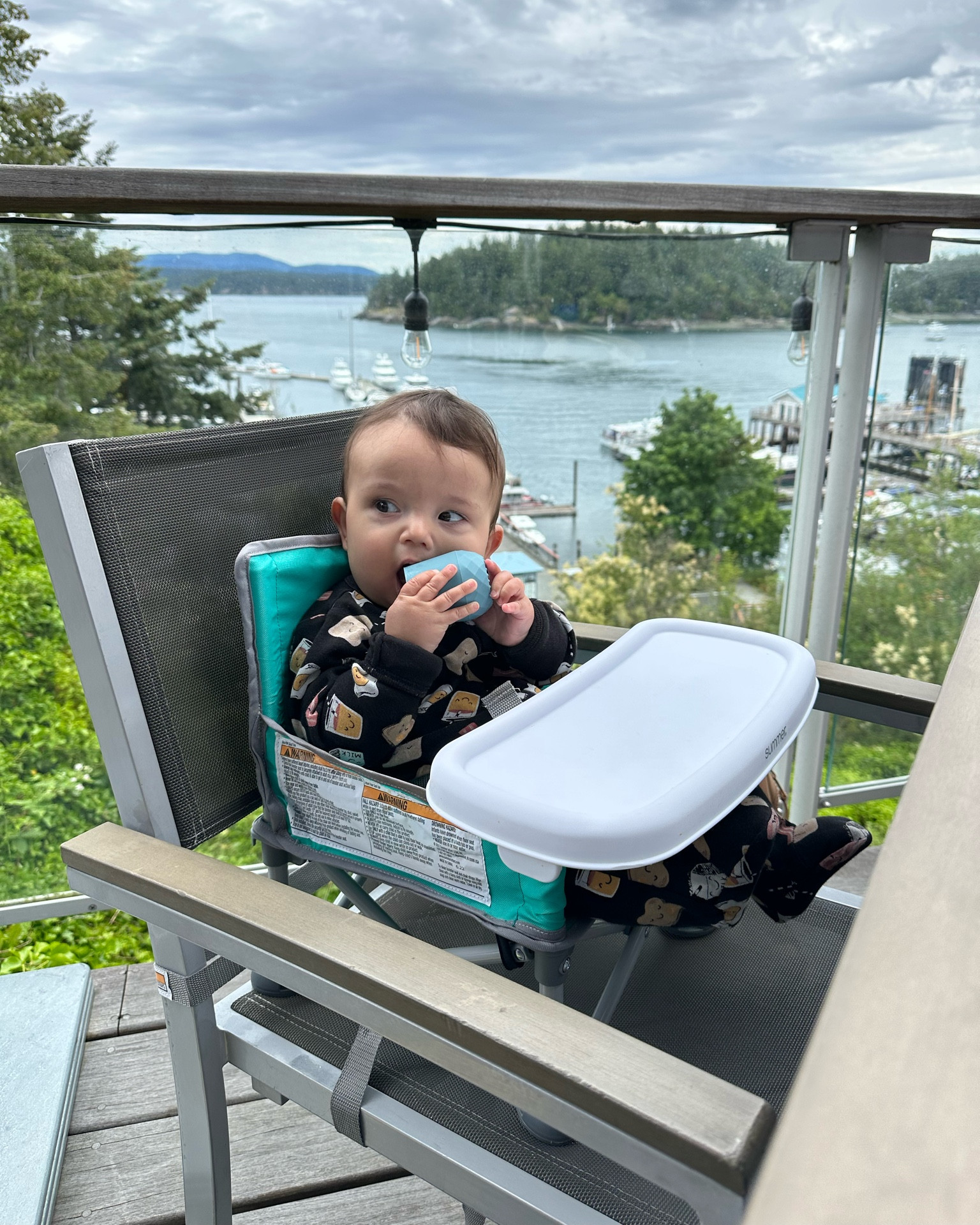 Baby gear we bring to a restaurant! This is for our 6 month old who is starting solids!

#LTKFamily #LTKBaby #LTKKids