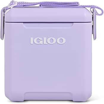 Igloo Teal 11 Qt Tag Along Too Strapped Picnic Style Cooler | Amazon (US)