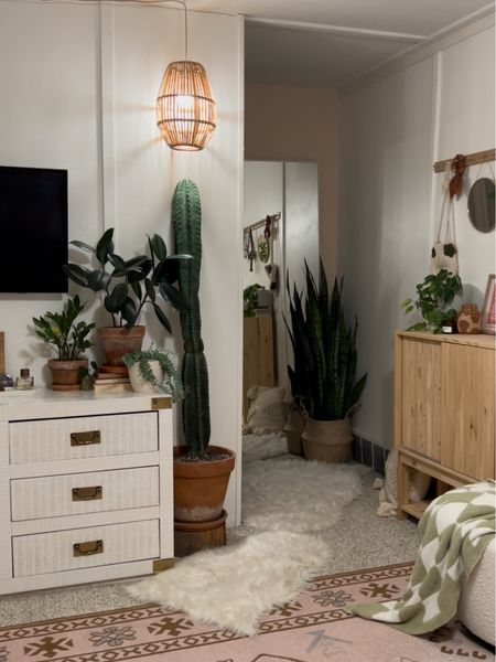 new grow light setup for my big cactus 🌵

#LTKsalealert #LTKhome #LTKstyletip