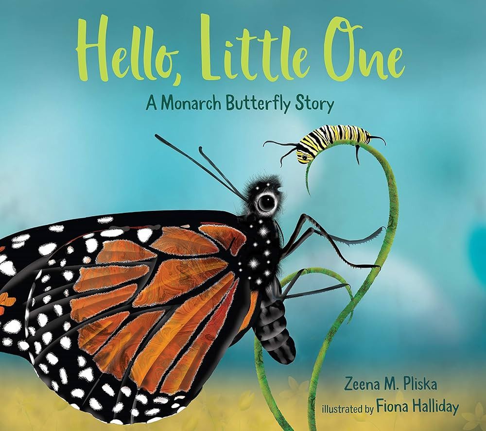 Hello, Little One: A Monarch Butterfly Story | Amazon (US)