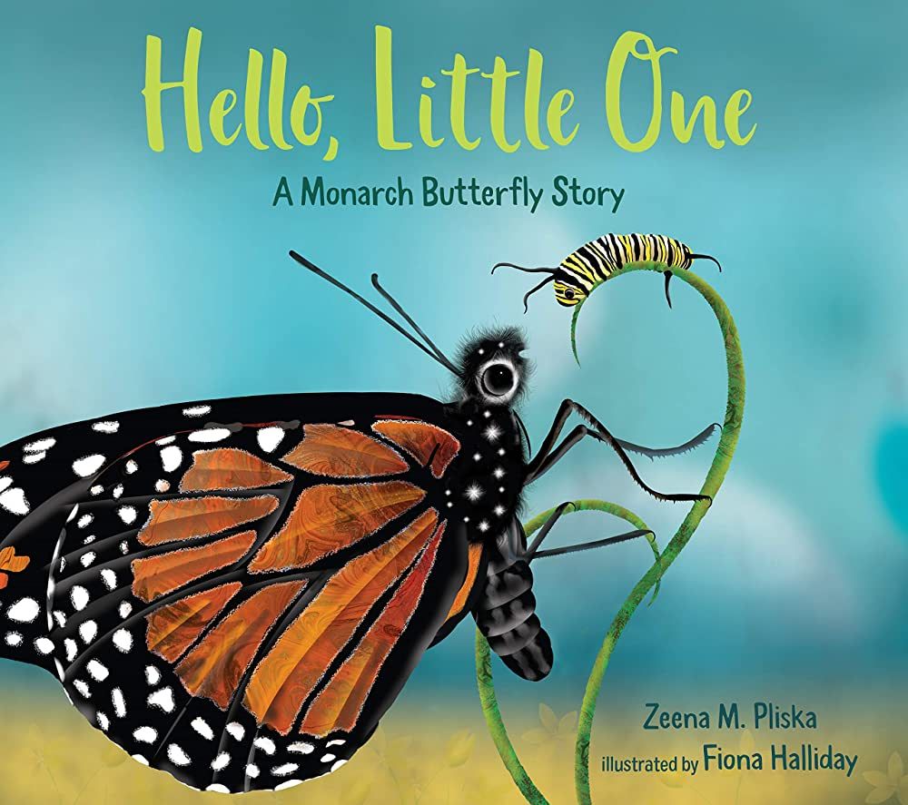 Hello, Little One: A Monarch Butterfly Story | Amazon (US)