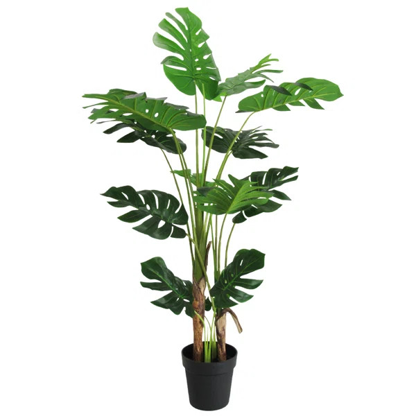 Faux in Pot | Wayfair North America