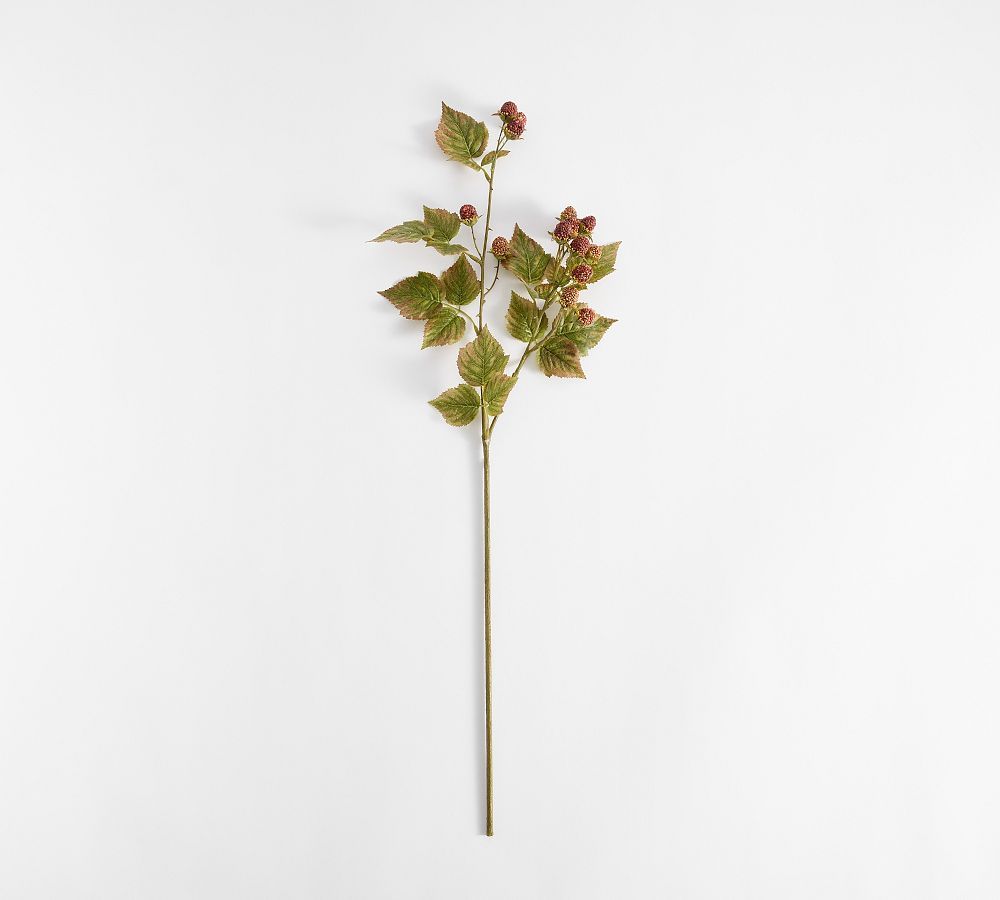 Faux Raspberry Branch | Pottery Barn (US)