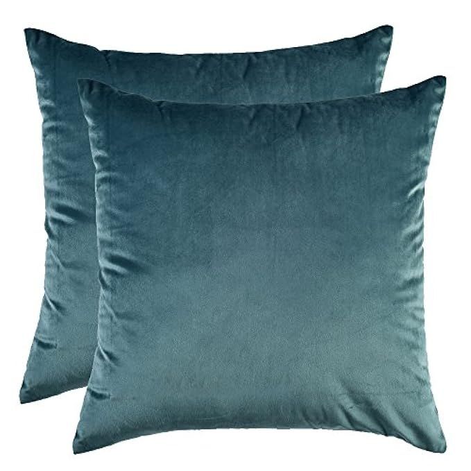 Artcest Set of 2, Cozy Solid Velvet Throw Pillow Case, Decorative Couch Cushion Cover, Soft Sofa Eur | Amazon (US)