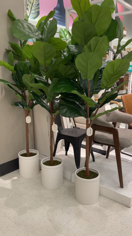 Large faux fiddle leaf tree with white pot. I really like how tall these are (6 ft) . It looks great in the corner of a room and adds a touch of lush greenery! 💚🌿

#LTKxTarget #LTKhome #LTKVideo