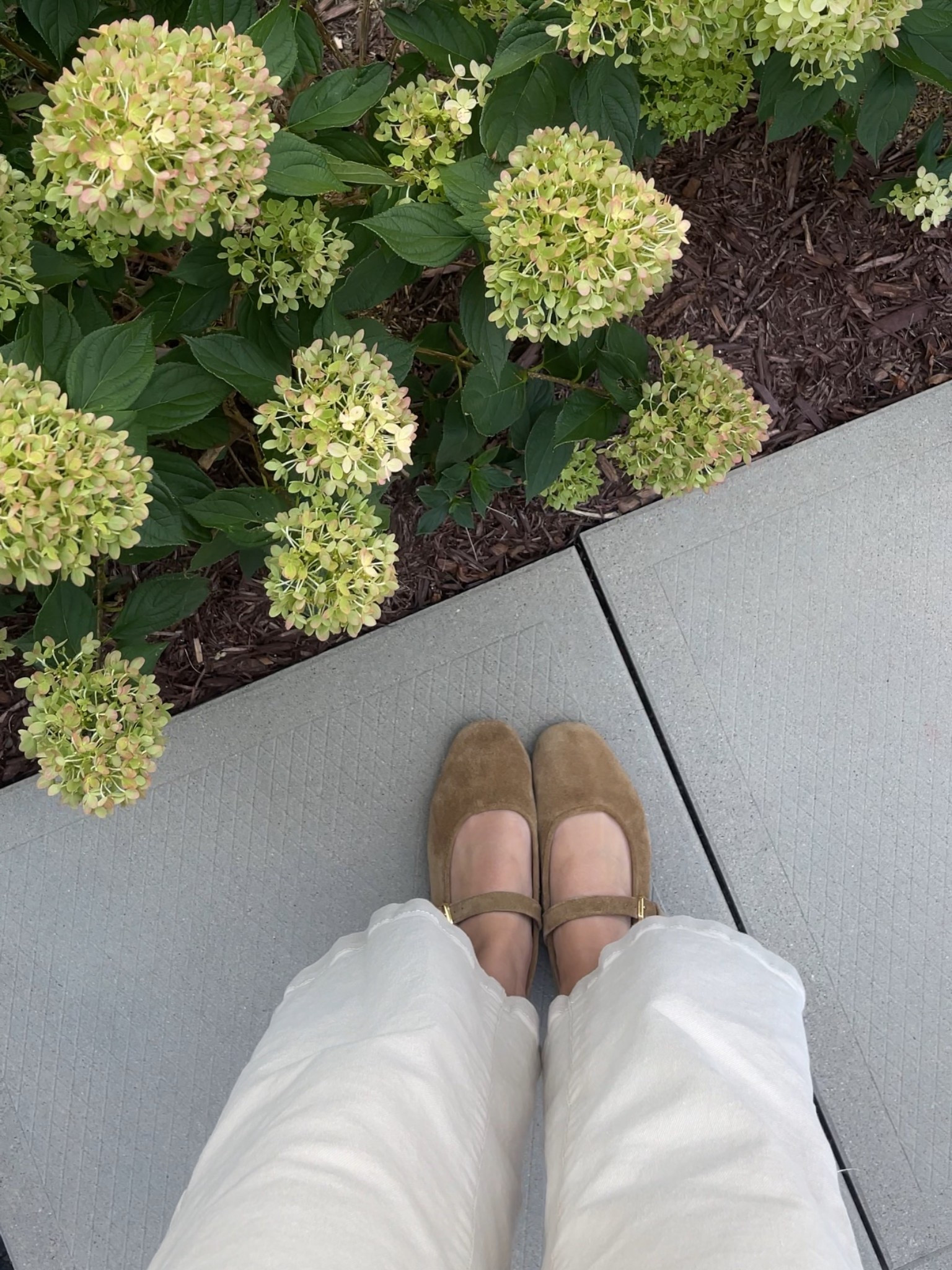 suede ballet flats🤎

#LTKcanada #LTKstyletip #LTKpetite