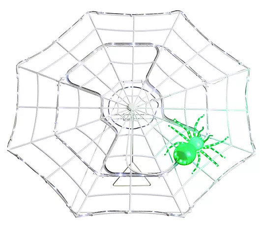 Mr. Halloween Outdoor Animated Spider on Web - QVC.com | QVC