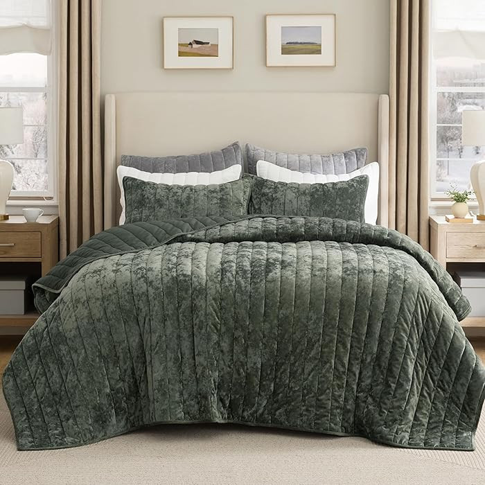 Bedsure Velvet Quilt Queen Size Set - Lightweight Velvet Comforter Queen, Luxury Bedspread Coverl... | Amazon (US)
