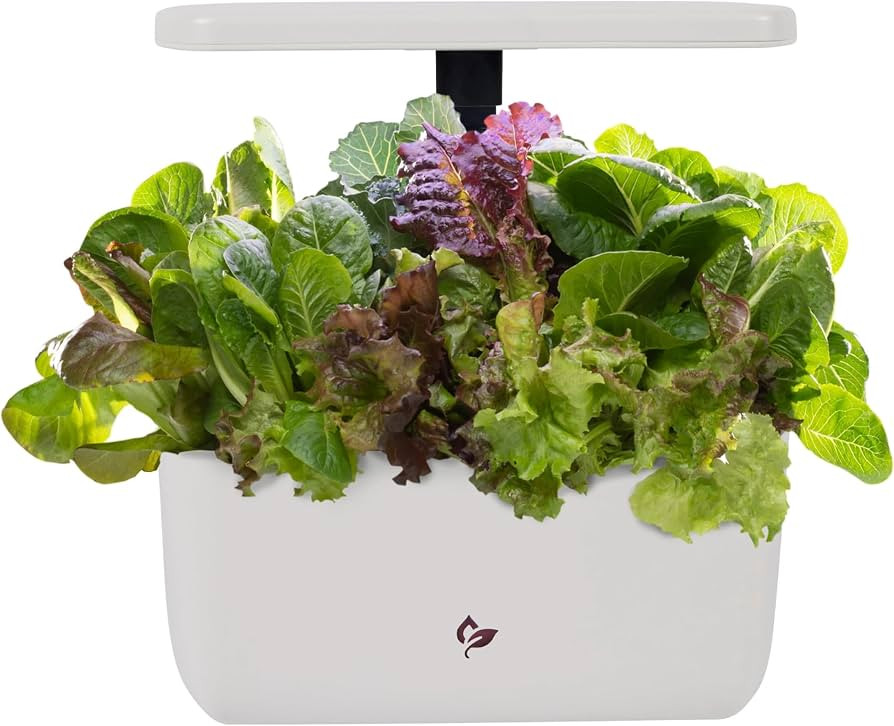 AeroGarden Harvest 2.0, Indoor Garden Hydroponic System with LED Grow Light, Holds up to 6 AeroGa... | Amazon (US)