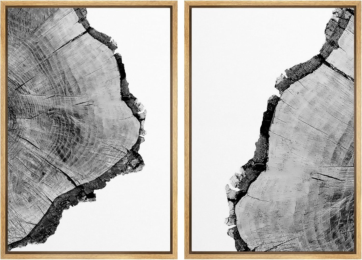 SIGNWIN Framed Wall Art Print Set Black & White Close Up Tree Ring Details Nature Wilderness Phot... | Amazon (US)