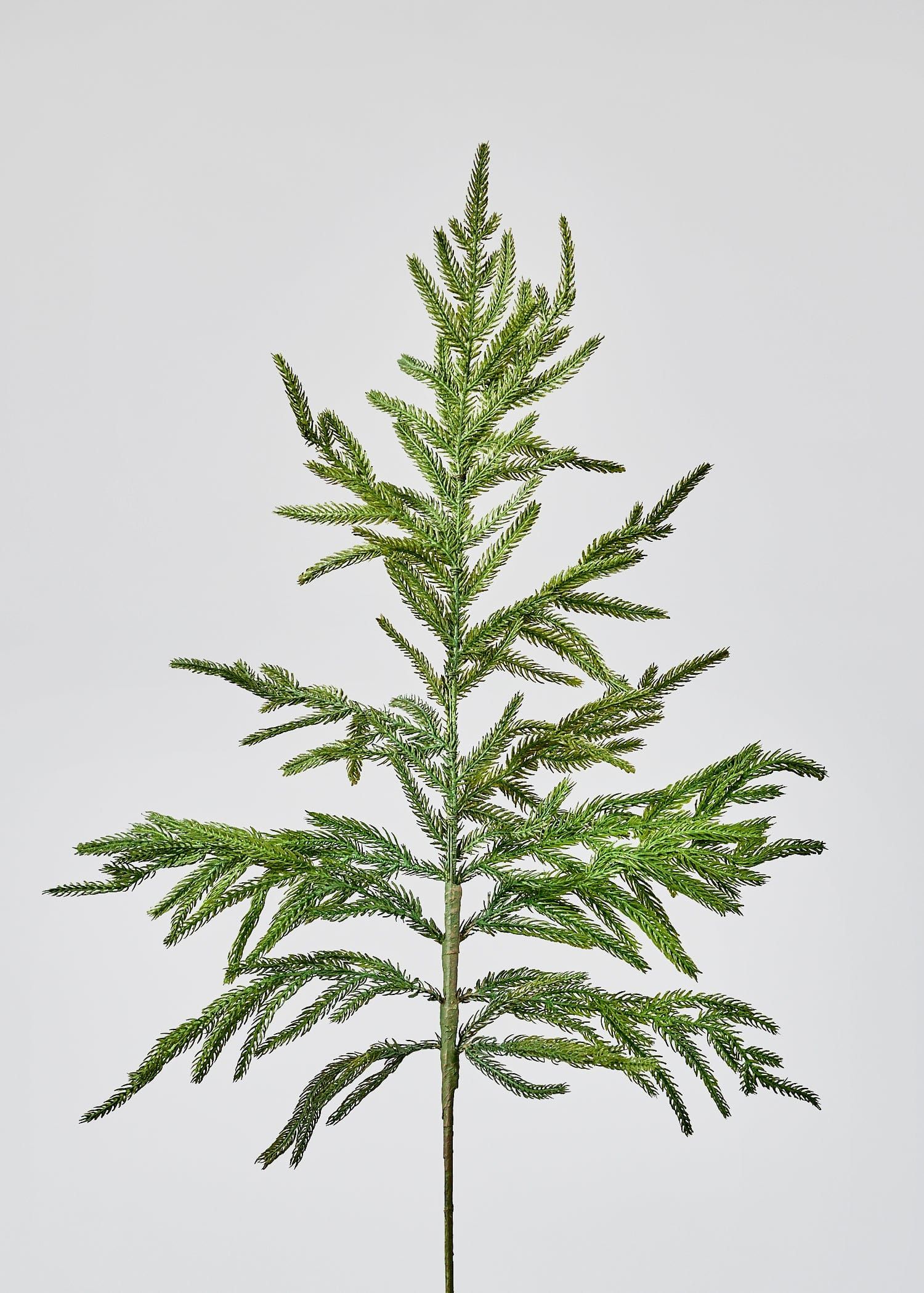 Afloral Real Touch Norfolk Pine Branch - 36" | Afloral
