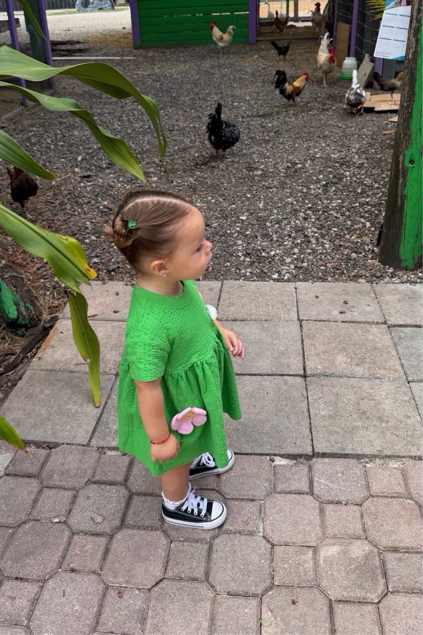 This green dress is the cutest and so comfy for running around—linking her outfit!

#LTKootd #LTKKids #LTKBaby
