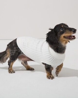 Soma Marshmallow Knit Pet Sweater | Soma Intimates