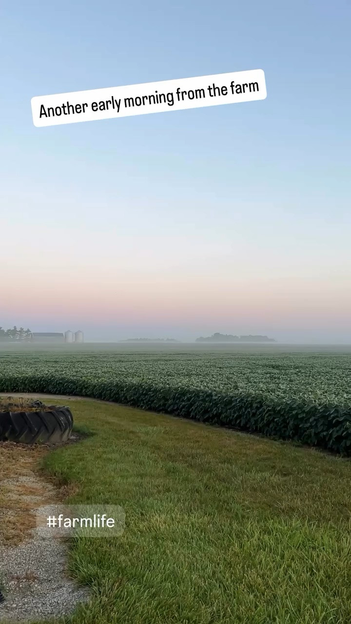 Another early morning from the farm