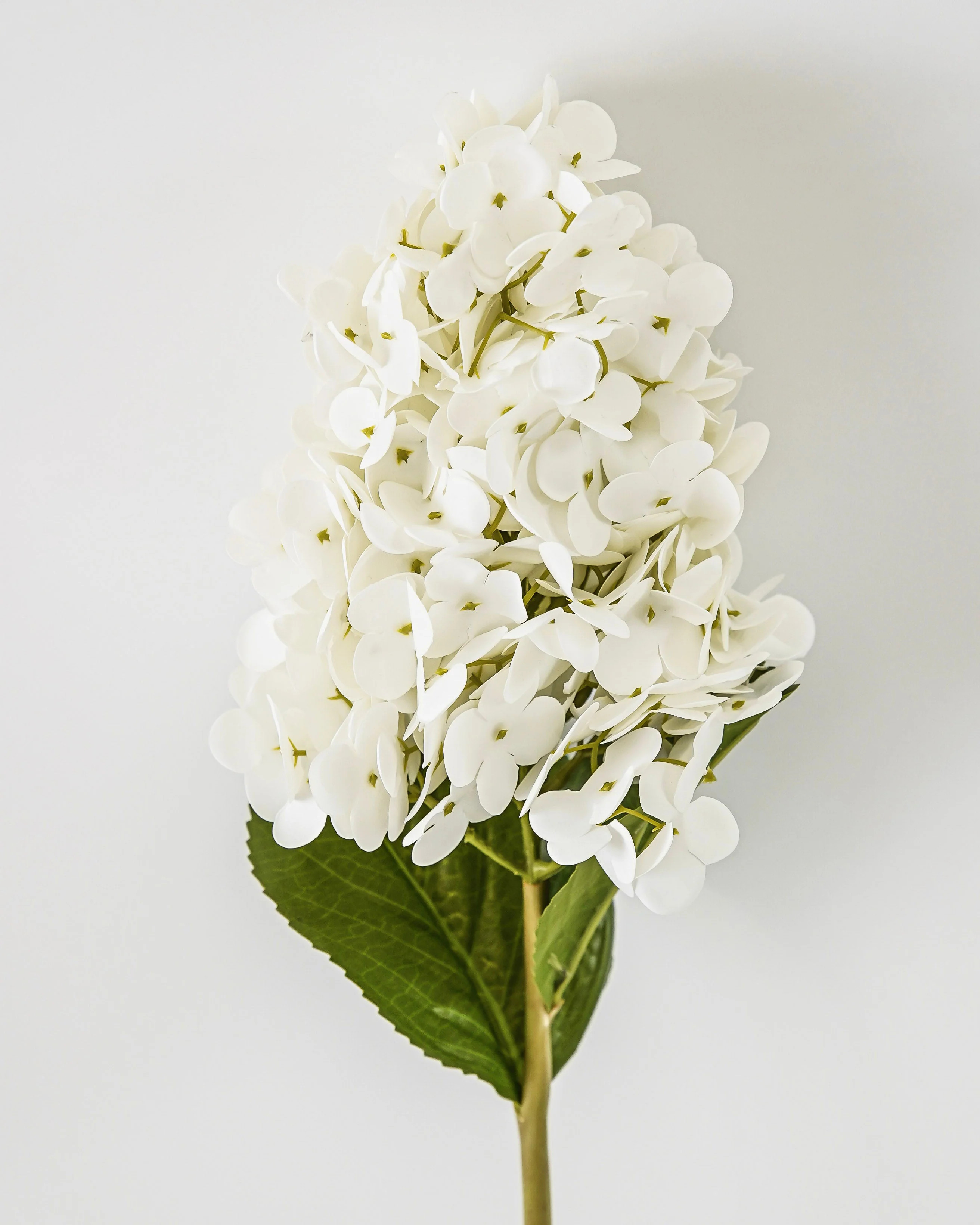 Real Touch Cone Hydrangea Stem | White | MJHome