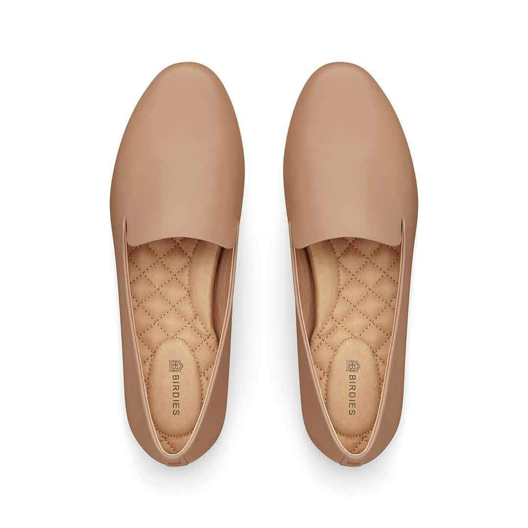 the starling | BIRDIES