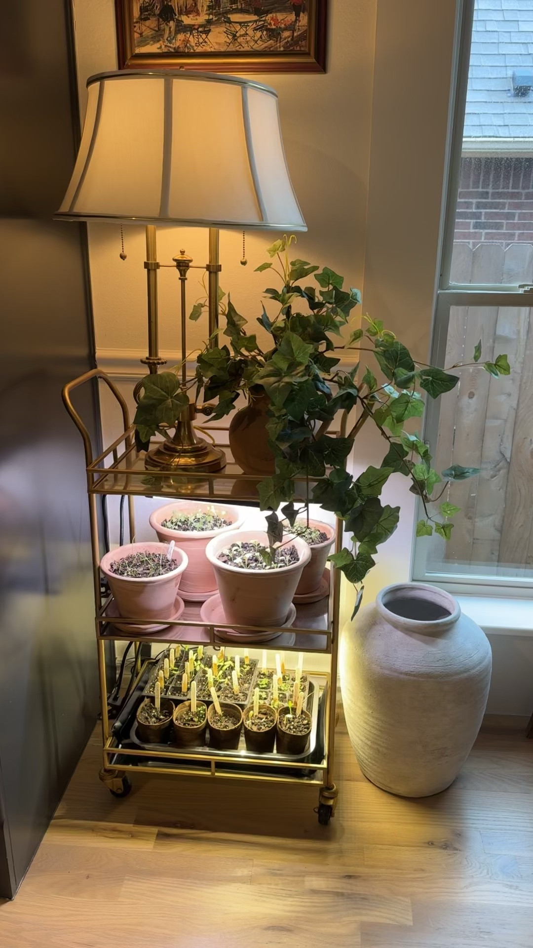 Using my bar cart for my seed starting 🌱 Grow lights, bar cart and accessories can all still be so cute growing an herb garden or vegetable garden indoors. 

Indoor gardening grow light
Terracotta pots
Vintage style lamp
Heat mat for warm season seeds
Cocktail bar cart 
Gold 

#LTKHome