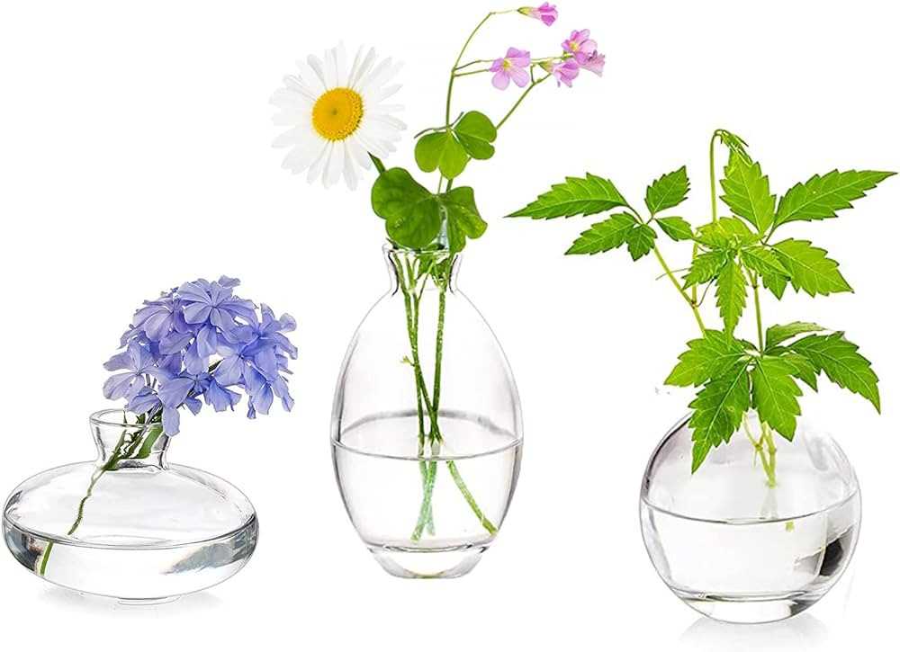 Thick & Sturdy -- Made of thick glass, these clear small glass bud vases are sturdy, not easily b... | Amazon (US)