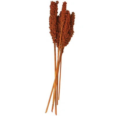 Clerkin Natural Dried Plant Floral And Botanical Artificial Foliage | Wayfair Professional
