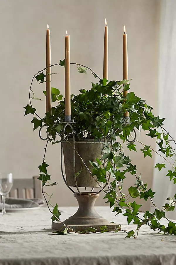 Candelabra Plant Stand | Anthropologie (US)