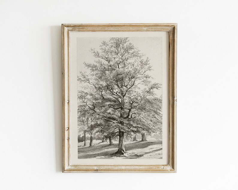 Vintage Oak Tree Art PRINTABLE Landscape Sketch Vintage Art | Etsy | Etsy (US)