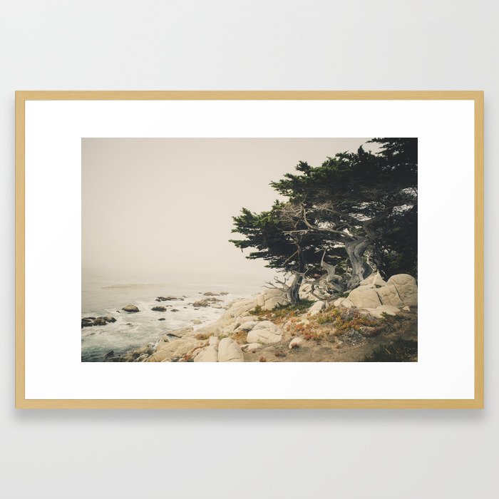 Carmel by the Sea Framed Art Print | Society6