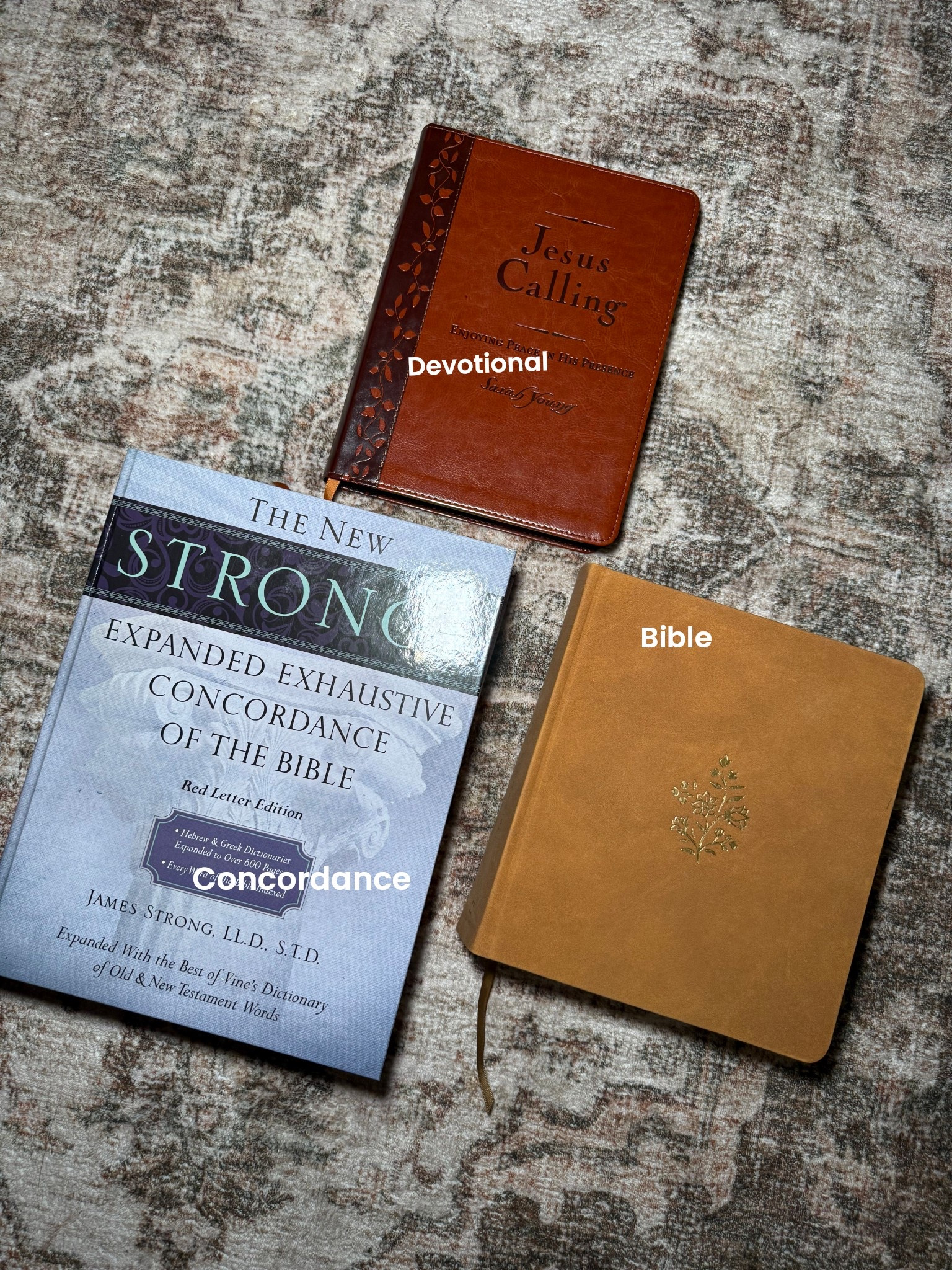 Getting tons of questions on my morning Bible studies! These are all I use ☺️

#LTKstorytime #LTKmomlife #LTKdayinmylife
