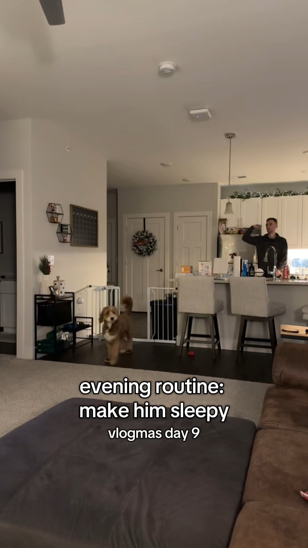 Nightly fetch because we like to sleep too 😂 These ChuckIt balls have been Walter’s favorite and super durable!!
#nightroutine #dogparents #puppylife #goldendoodle #doodle #vlogmas 

#LTKdayinmylife #LTKActive #LTKvlog