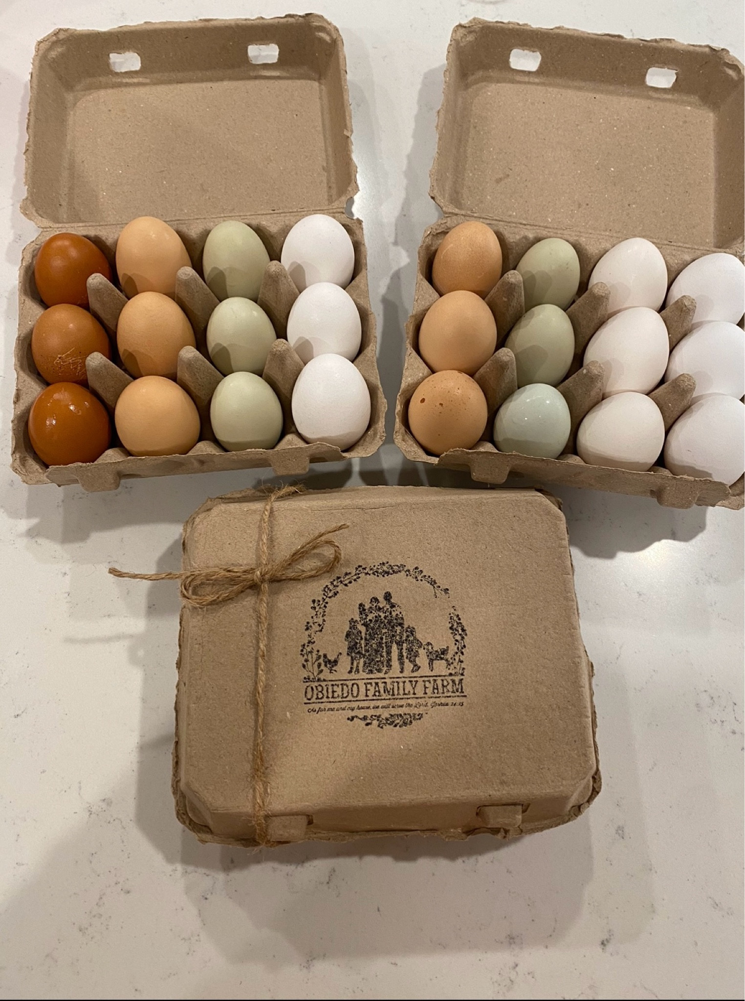 Farm fresh egg cartons, custom stamp, info cards, etc! 