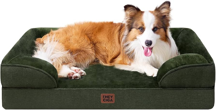 Processing... | Amazon (US)