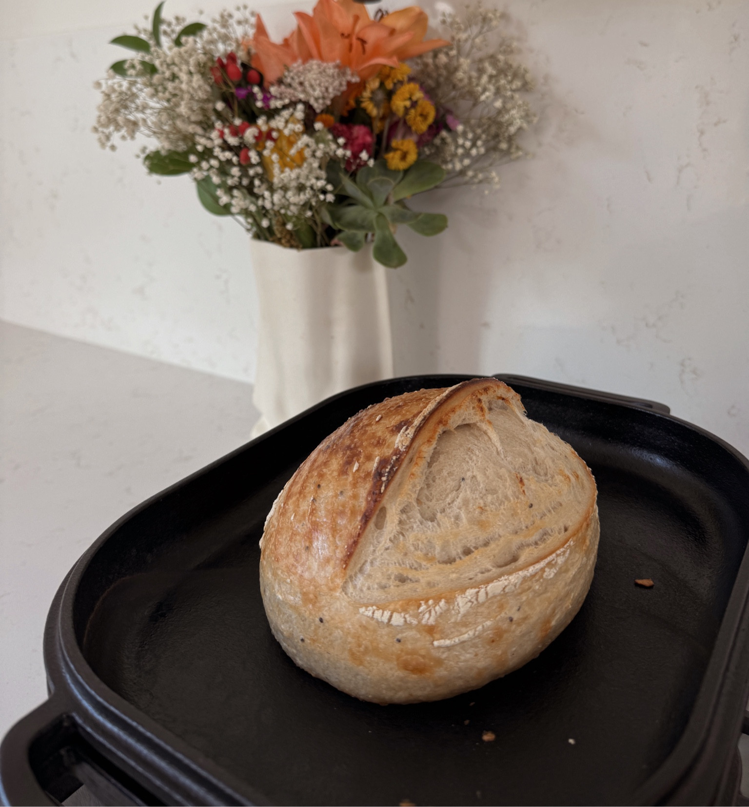 Sourdough things on Amazon!

#LTKHome #LTKFindsUnder100 #LTKSeasonal