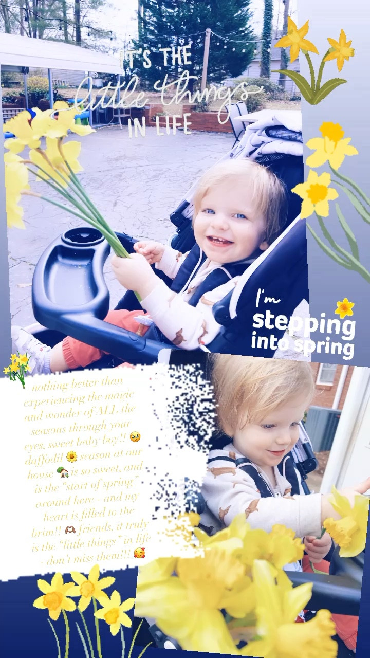nothing better than experiencing the magic and wonder of ALL the seasons through your eyes, sweet baby boy!! 🥹 daffodil 🌼 season at our house 🏡 is so sweet, and is the “start of spring” around here - and my heart is filled to the brim!! 🫶🏽 friends, it truly is the “little things” in life - don’t miss them!!! 🥰

#LTKfamily #LTKbaby #LTKhome