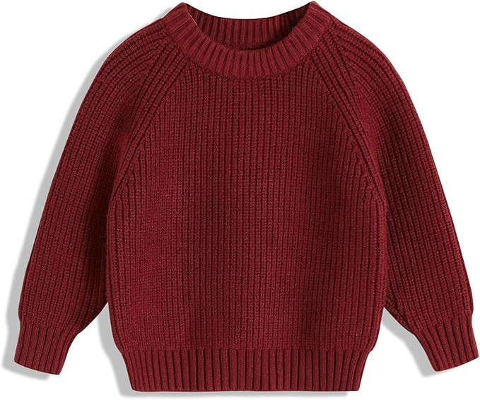 YOUNGER STAR Toddler Baby Girls Boys Knit Sweater Pullover Long Sleeve Sweatshirt Fall Winter Clo... | Amazon (US)