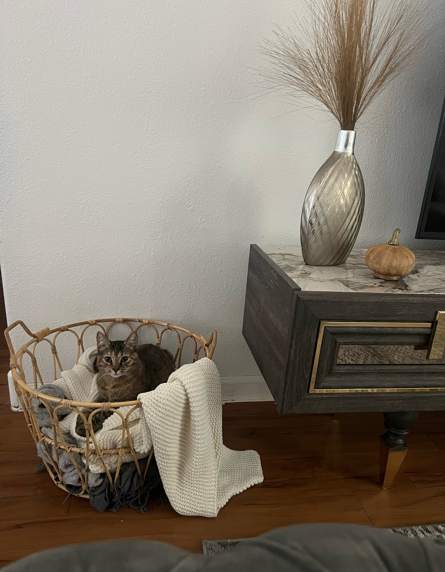 Perfect for throw blankets & for cats to sleep 🤣



#livingroom #throwblanket #blanketbasket #storagebasket

#LTKhome #LTKGiftGuide #LTKfamily