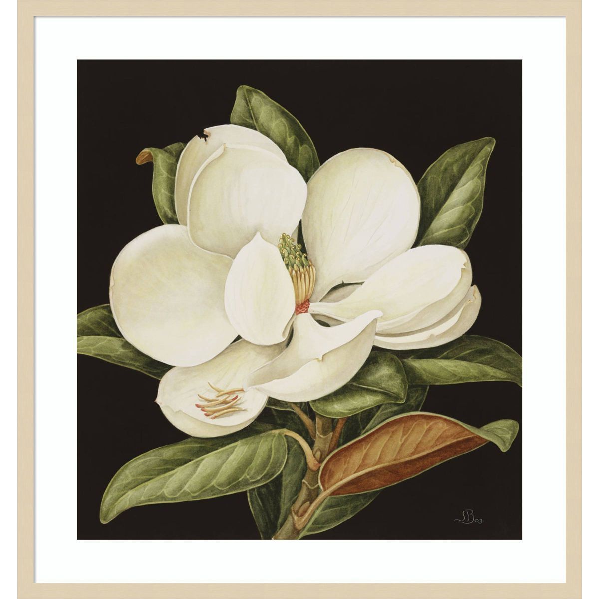 31" x 33" Magnolia Grandiflora 2003 by Jenny Barron Wood Framed Wall Art Print - Amanti Art | Target