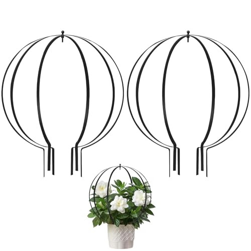 Metal Plant Circle Trellis, Garden Sculpture Globe Trellis for Climbing Plants Outdoor Potted Rou... | Amazon (US)