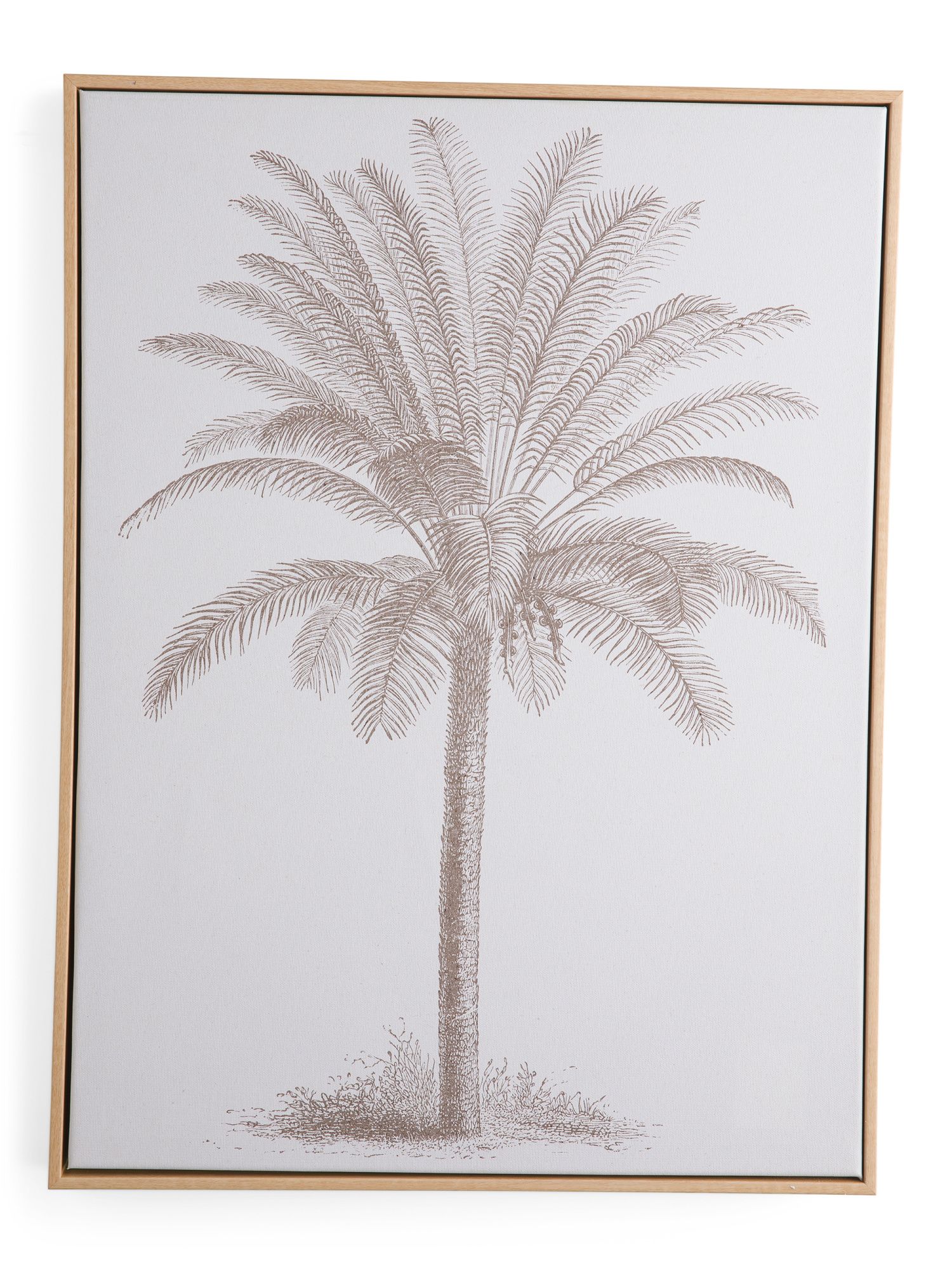 18x24 Vintage Tropical Palm Neutral Framed Wall Art | Home | Marshalls | Marshalls