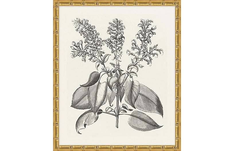 Lillian August, Bessler Study in Neutral VIII | One Kings Lane