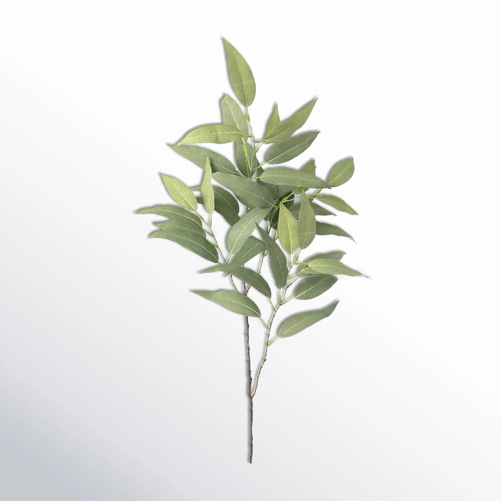 AllModern Eucalyptus Spray & Reviews | Wayfair | Wayfair North America