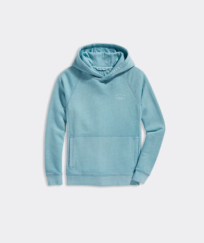 Boys' Graphic Pullover Hoodie | vineyard vines