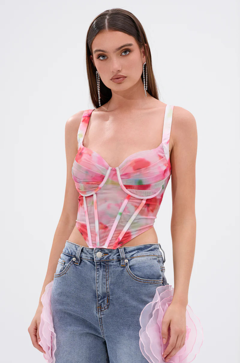 SHELLY OMBRE MESH CORSET | AKIRA