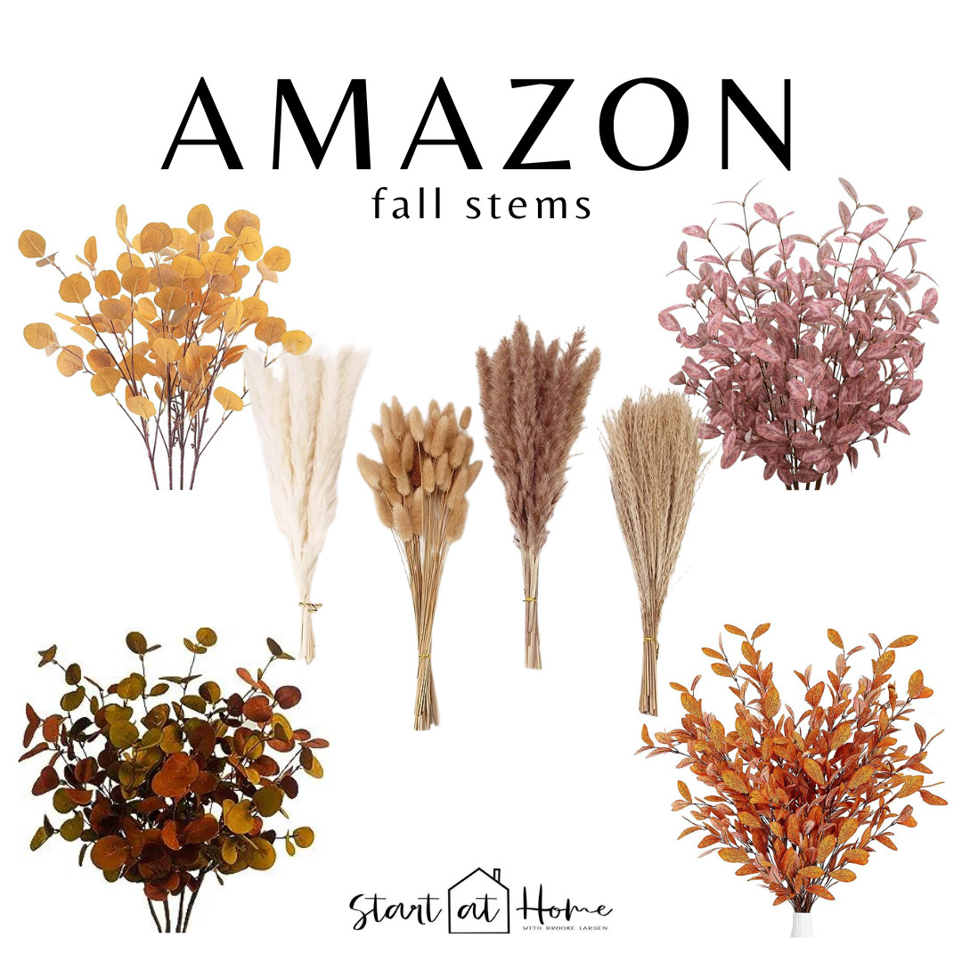 Fall stems | Amazon (US)